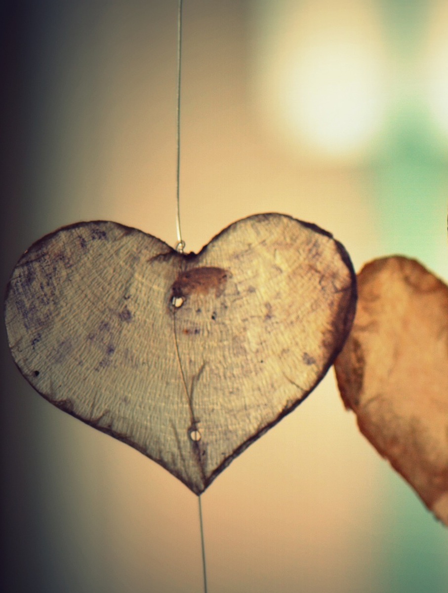 island g413d53708_1920.jpeg